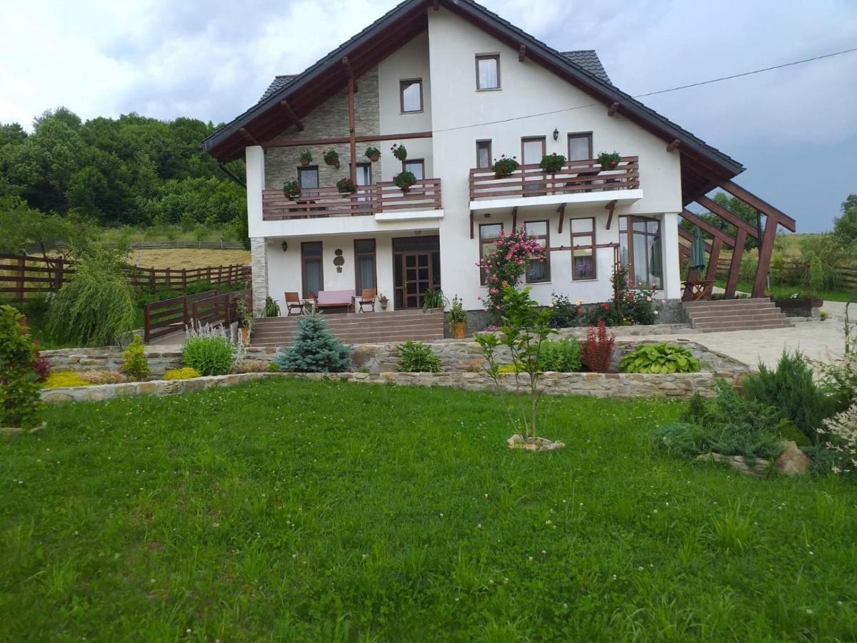 Pensiunea Doina Bucovinei Hotel Manastirea Humorului Luaran gambar