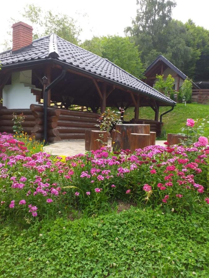 Pensiunea Doina Bucovinei Hotel Manastirea Humorului Luaran gambar
