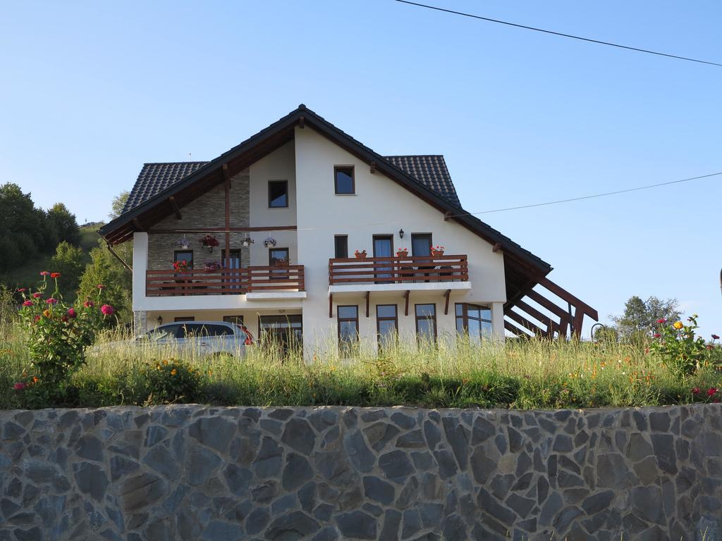 Pensiunea Doina Bucovinei Hotel Manastirea Humorului Luaran gambar